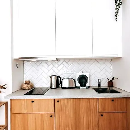 Modern Serviced Studio Downtown * براغ